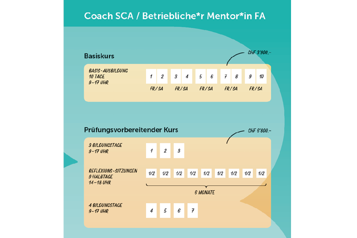 Kursplan Betriebliche:r Mentor:in Coach SCA